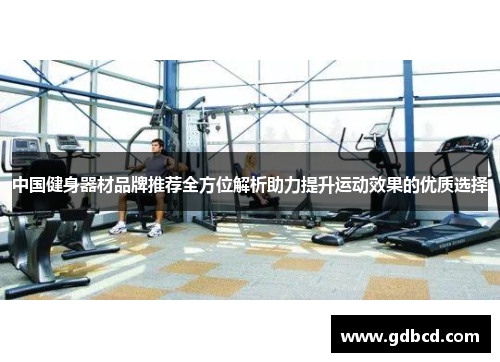 中国健身器材品牌推荐全方位解析助力提升运动效果的优质选择