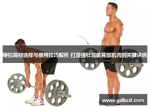 硬拉器材选择与使用技巧解析 打造强壮完美背部肌肉的关键诀窍