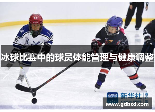冰球比赛中的球员体能管理与健康调整