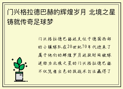 门兴格拉德巴赫的辉煌岁月 北境之星铸就传奇足球梦