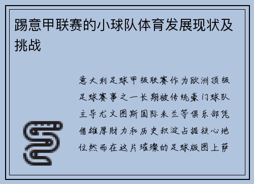 踢意甲联赛的小球队体育发展现状及挑战